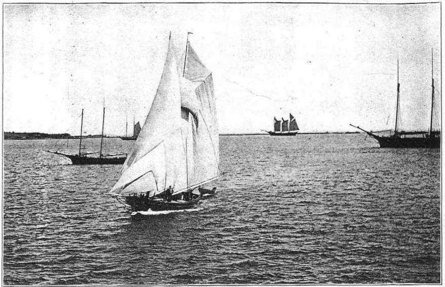 The Boats That Carried the Ocean With Them: Maine’s Lobster Well Smacks