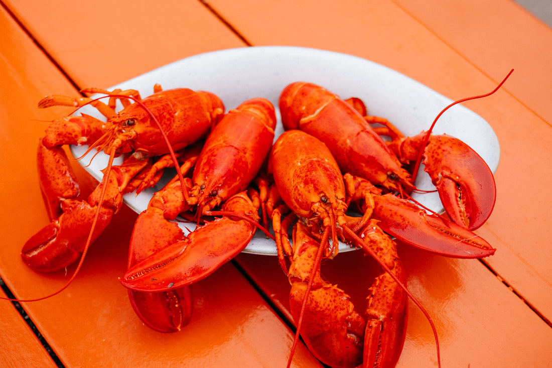 Cook’s Lobster Pound and the Bailey Island working waterfront.