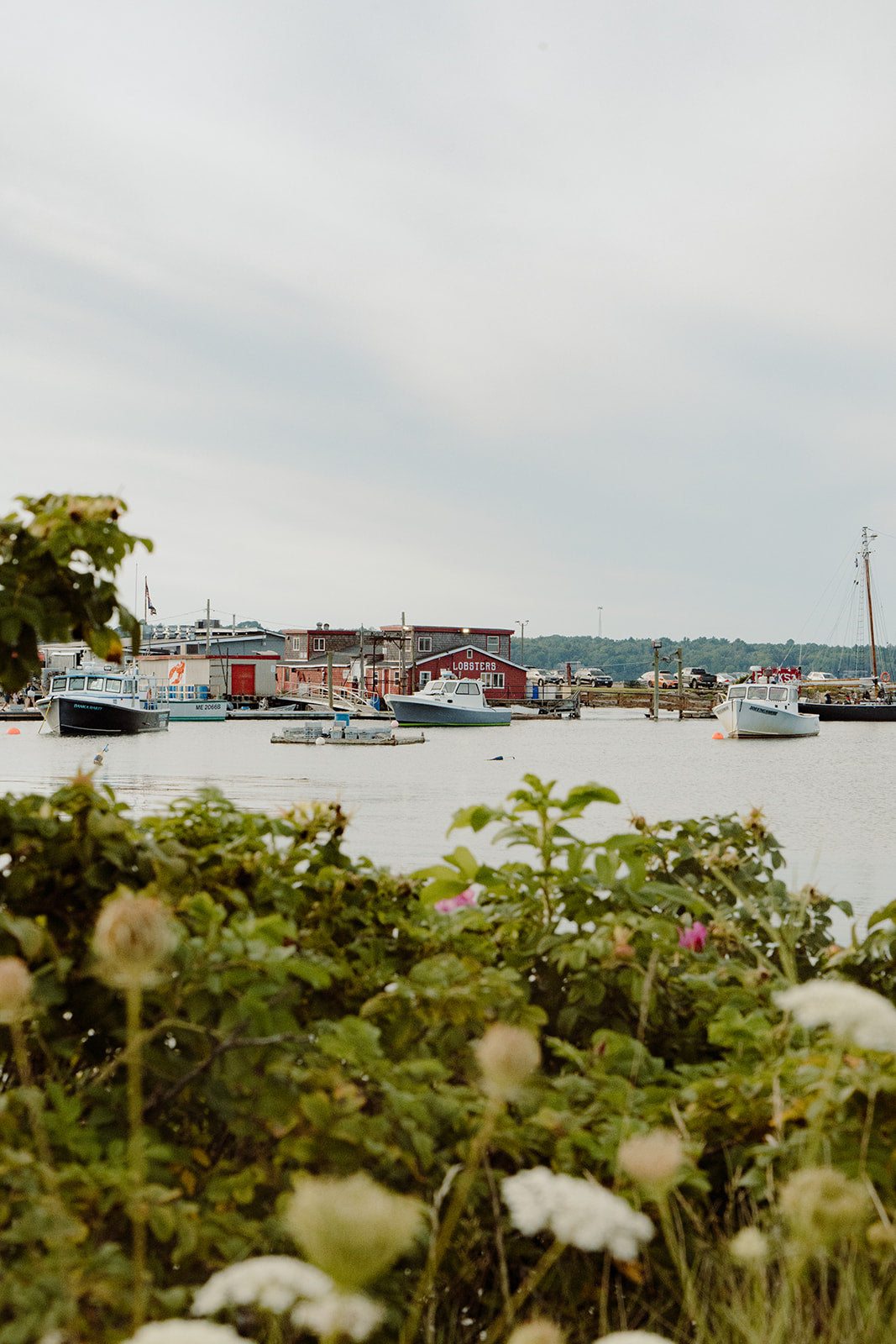 Cook’s Lobster Pound and the Bailey Island working waterfront.