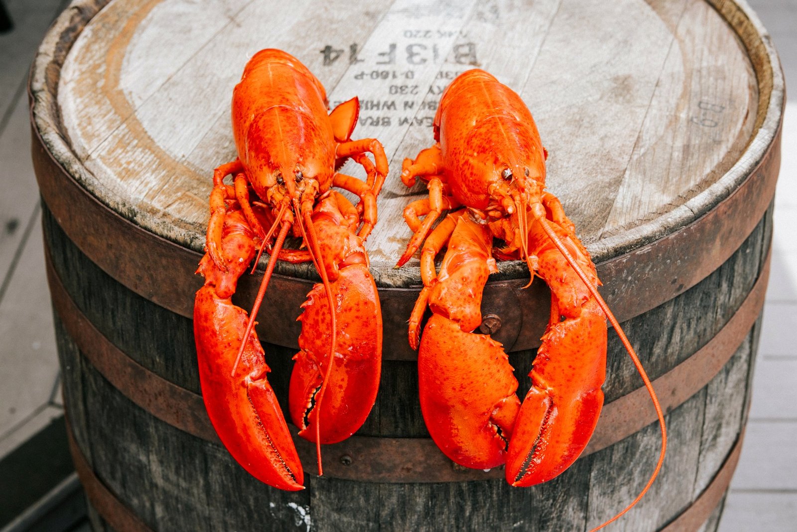 Cooked Maine lobsters ready for dinner