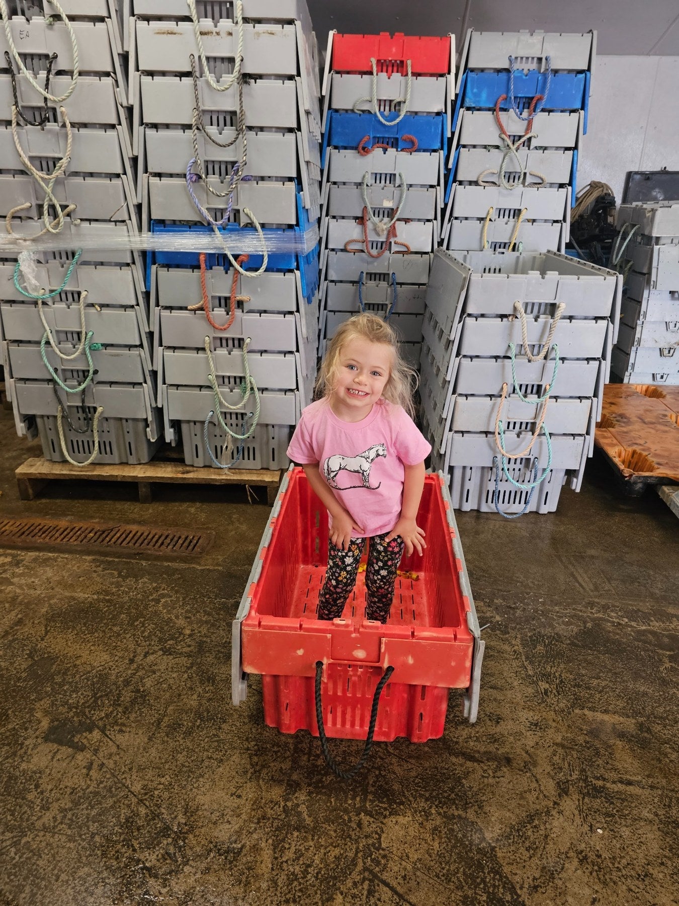 A child smiling in a red lobster crate beside stacks of crates at the wharf